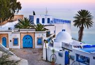 Tunis - Kartagina - Sidi Bou Said